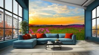 Golden sunset over flowering summer meadow with blossoming pink fireweed flowers Wall mural