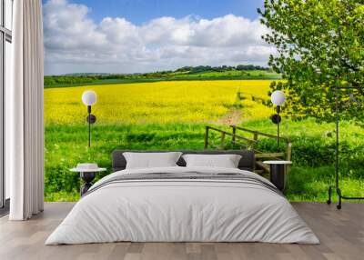 Lincolnshire with bridge and path through crop Wall mural