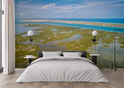 Marshland In Port Aransas, Texas  Wall mural