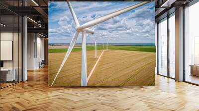 Texas Wind Farm Wall mural