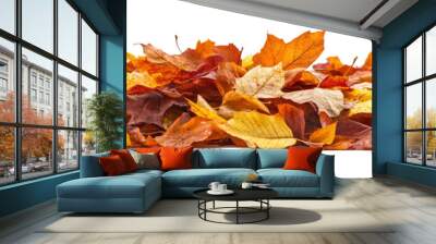 Pile of autumn-colored leaves isolated on white background Wall mural