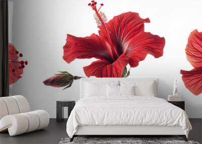 Set of tropical red hibiscus flowers isolated on transparent background Wall mural