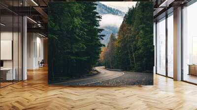 Winding autumn forest road. Wall mural