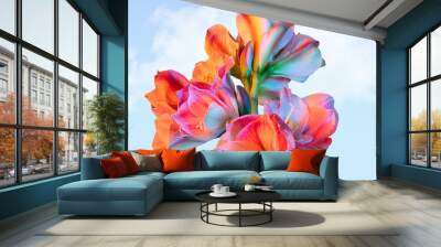 Colorful flower on blue sky background. Close-up. Abstract photo Wall mural