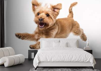 Jumping little cheerful dog isolated on white background Wall mural