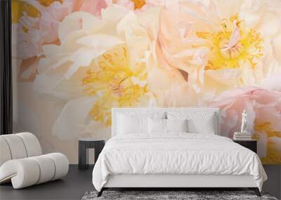 Pale peonies abstract pattern. Pastel floral background. Closeup Wall mural