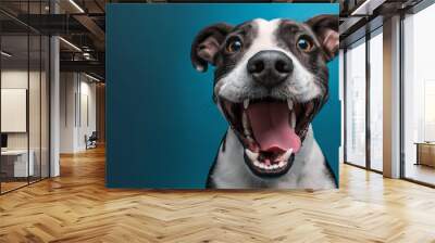 Photo of happy excited dog Wall mural