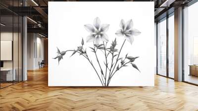 Black and White Floral Silhouette Wall mural