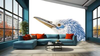 Blue-footed Booby Portrait Wall mural