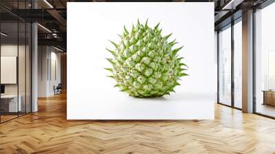 Closeup of a Green Spiky Fruit on a White Background Wall mural