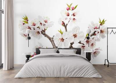 Delicate Almond Blossom Branch Wall mural