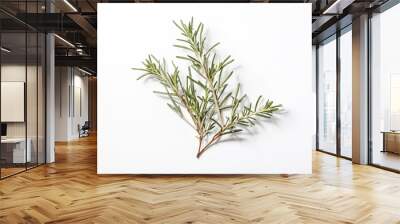 Sprig of Rosemary on White Background Wall mural