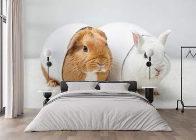 Two Rabbits Sitting in White Egg-Shaped Houses Wall mural