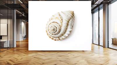 White Seashell on White Background Wall mural