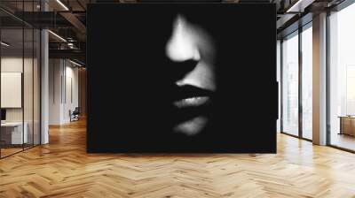 beauty, fashion, abstract concept. black and white part of woman face in black shadow background wit Wall mural