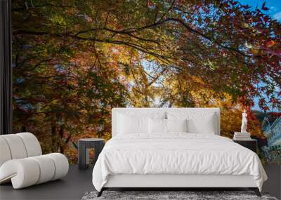 autumn leaves Wall mural