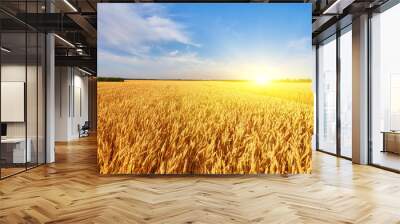 Field of Golden wheat under the blue sky Wall mural