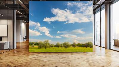 field on a background of the sky Wall mural