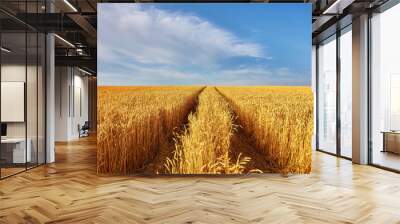 Gold wheat field and blue sky. Ukraine, Europe. Wall mural