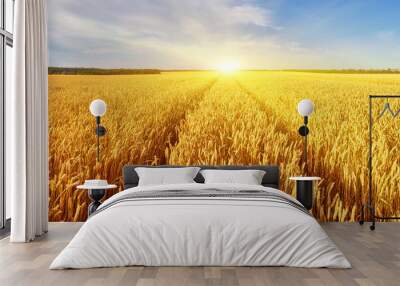 landscape with tractor road in wheat field Wall mural