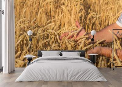 Ripe golden wheat ears in her hand Wall mural