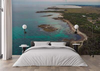 Zenith view of the seacoast around Torre Guaceto in Puglia, Italy. Wall mural