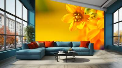 Orange Flowers Wall mural