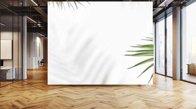 Palm leaf with hard shadow. Minimal tropical background. Sunshine, hard shadow, flat lay. Wall mural