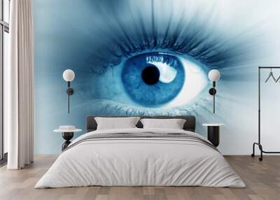 Blue eye of a woman. Eye in motion. Wide banner with a white background. Wall mural