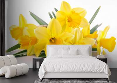 Group of yellow daffodils on a white background., Generative Ai Wall mural