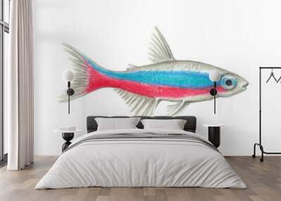 Vector Neon tetra natural illustration by colored pencils Wall mural