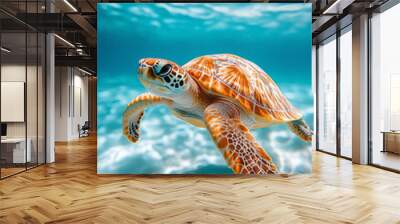 Little turtle swimming in the sea Vivid underwater images and southern landscapes, clear waters Wall mural