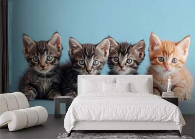 Selective focus of A group of kittens are eating in the house. Wall mural