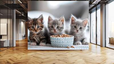 Selective focus of A group of kittens are eating in the house. Wall mural