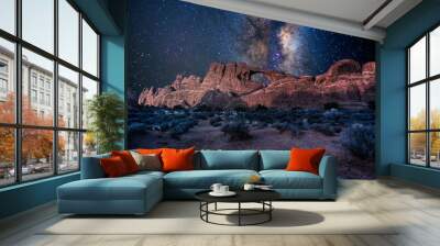 Arches National Park under a milky way star filled night sky in Moab, Utah USA. Wall mural