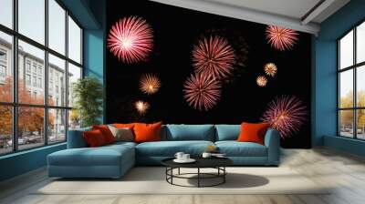 Large variety of different beautiful fireworks on dark sky Wall mural