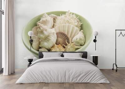 Shell collection in green bowl Wall mural