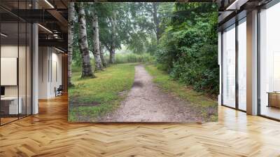 beautiful walking path inside the jungle Wall mural