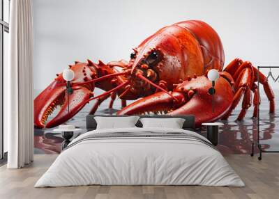 boiled lobster on white background.generative ai Wall mural