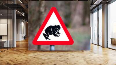 Toad Crossing road sign Wall mural