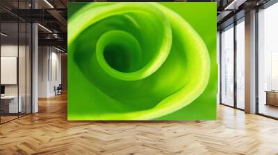 Nature Green Spiral Leaf Abstract Background Ecology Concept Wall mural