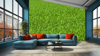 green grass field, close-up closeup close up nature natural background Wall mural