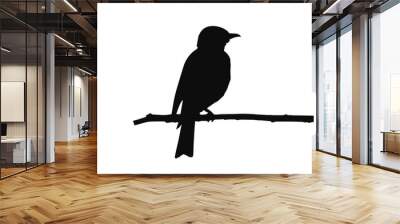 shrike bird on branch, black silhouette Wall mural