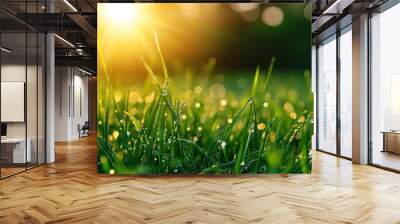 A close-up of dewy green grass blades glistening in the early morning sunlight, offering a fresh and vibrant summer scene with space for text. Wall mural