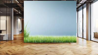 A serene green grass lawn with a smooth, undisturbed surface and plenty of copy space for various design purposes Wall mural