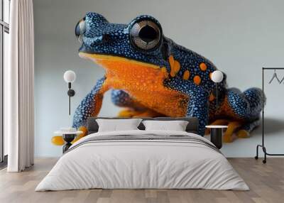 A tiny exotic frog with bright colors, sitting on a white background, ready to jump. Wall mural