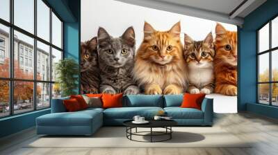 Dogs, cats, and small pets isolated on white Wall mural