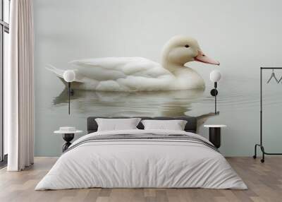 Elegant white duck floating on a serene pond with a white background Wall mural