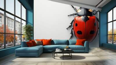 Ladybug on a white gradient background Wall mural