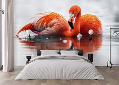 Pink flamingo at the poolside, isolated on white Wall mural